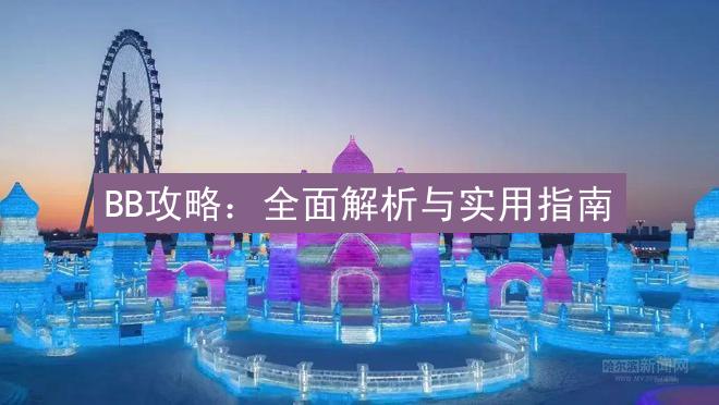 BB攻略：全面解析与实用指南