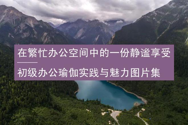 在繁忙办公空间中的一份静谧享受 —— 初级办公瑜伽实践与魅力图片集