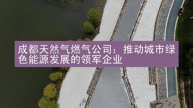 成都天然气燃气公司：推动城市绿色能源发展的领军企业