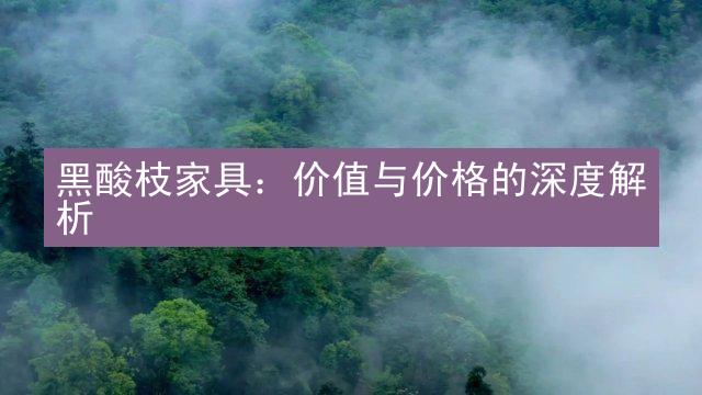 黑酸枝家具：价值与价格的深度解析