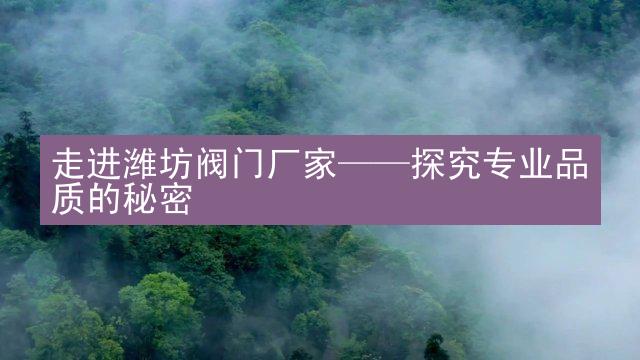 走进潍坊阀门厂家——探究专业品质的秘密