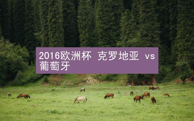 2016欧洲杯 克罗地亚 vs 葡萄牙