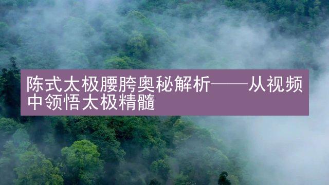 陈式太极腰胯奥秘解析——从视频中领悟太极精髓