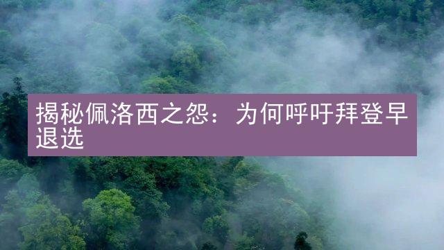 揭秘佩洛西之怨：为何呼吁拜登早退选