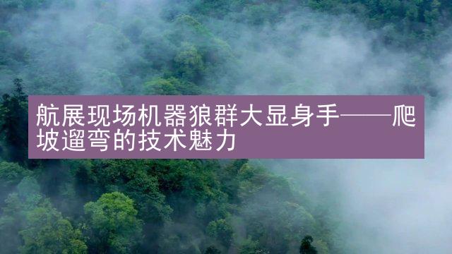 航展现场机器狼群大显身手——爬坡遛弯的技术魅力