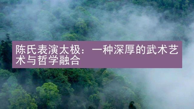 陈氏表演太极：一种深厚的武术艺术与哲学融合