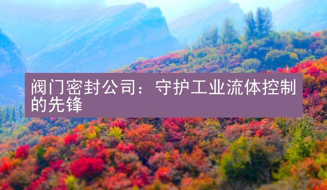 阀门密封公司：守护工业流体控制的先锋