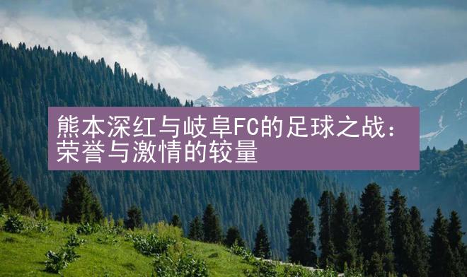 熊本深红与岐阜FC的足球之战：荣誉与激情的较量