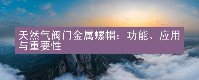 天然气阀门金属螺帽：功能、应用与重要性