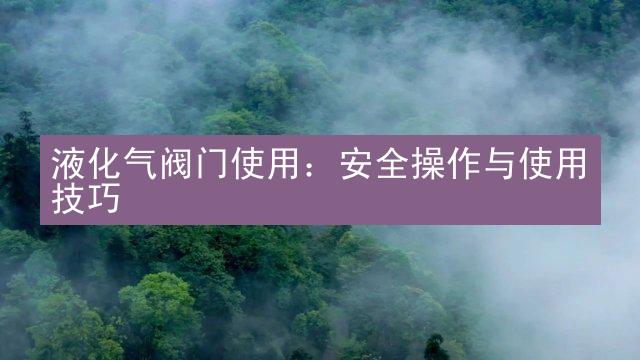 液化气阀门使用：安全操作与使用技巧