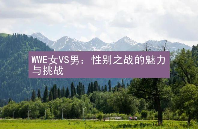 WWE女VS男：性别之战的魅力与挑战