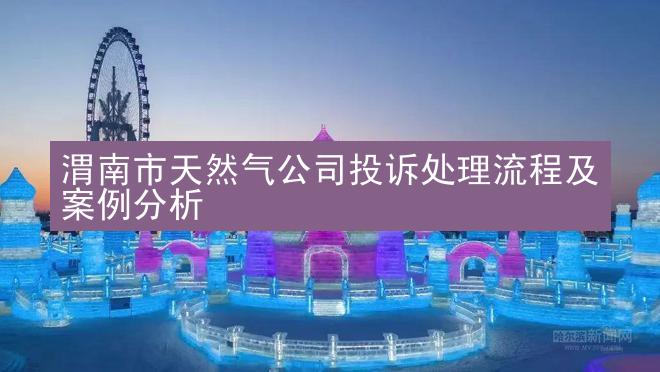 渭南市天然气公司投诉处理流程及案例分析