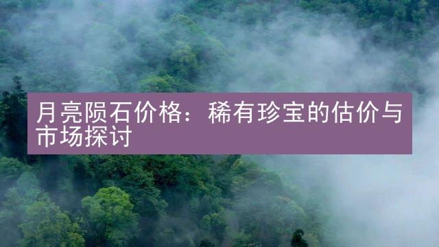 月亮陨石价格：稀有珍宝的估价与市场探讨