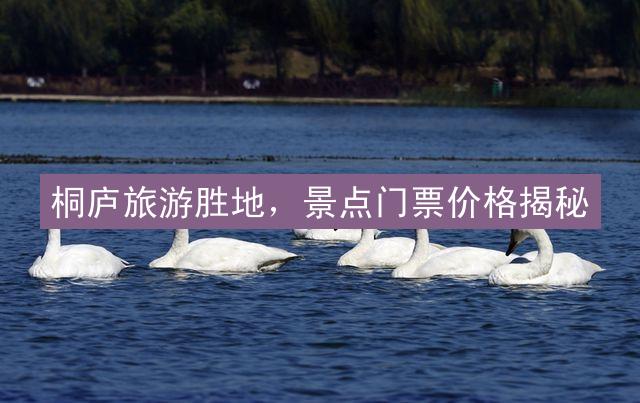 桐庐旅游胜地，景点门票价格揭秘