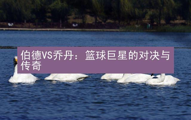 伯德VS乔丹：篮球巨星的对决与传奇