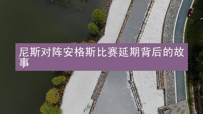 尼斯对阵安格斯比赛延期背后的故事