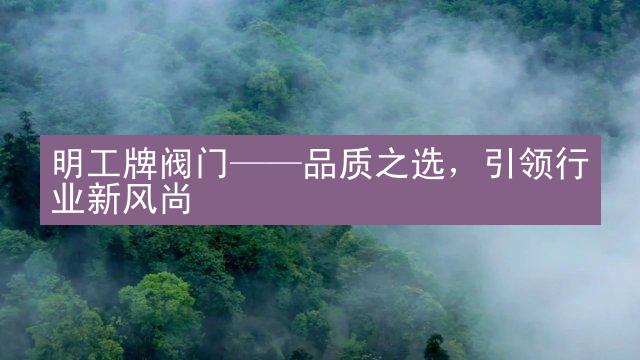 明工牌阀门——品质之选，引领行业新风尚