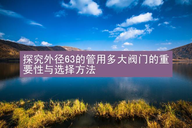 探究外径63的管用多大阀门的重要性与选择方法