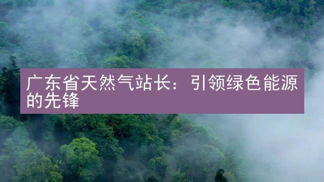 广东省天然气站长：引领绿色能源的先锋