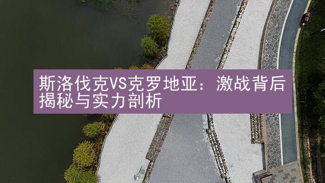 斯洛伐克VS克罗地亚：激战背后揭秘与实力剖析